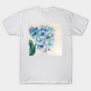 Hydrangea in blue T-Shirt